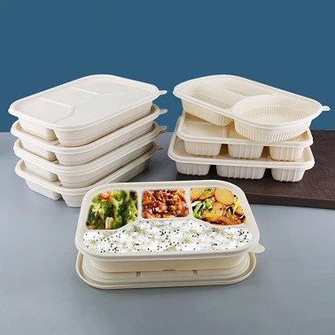 Lunch Box
